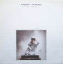 Kate Bush : The Big Sky (Meteorological Mix) (12", Single)
