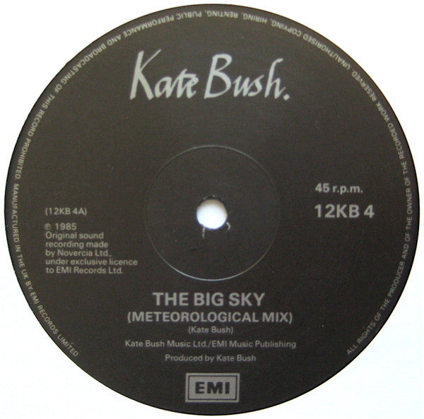 Kate Bush : The Big Sky (Meteorological Mix) (12", Single)