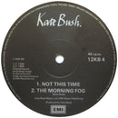 Kate Bush : The Big Sky (Meteorological Mix) (12", Single)