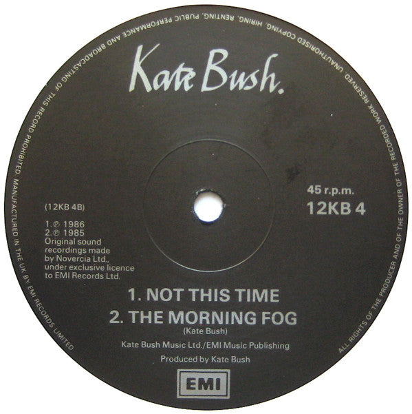 Kate Bush : The Big Sky (Meteorological Mix) (12", Single)