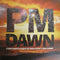 P.M. Dawn : A Watcher's Point Of View (Don't Cha Think) (12", Single)