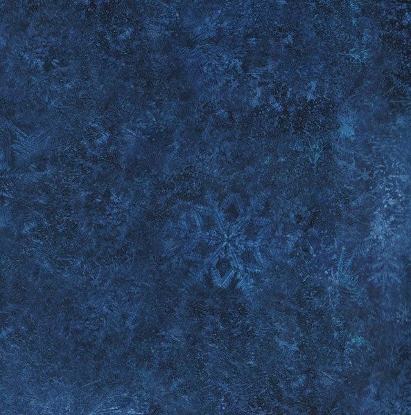 Kristen Anderson-Lopez And Robert Lopez, Christophe Beck : Disney Frozen Soundtrack (CD, Album)