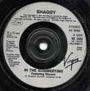 Shaggy Featuring Rayvon : In The Summertime (7", Single, Pos)