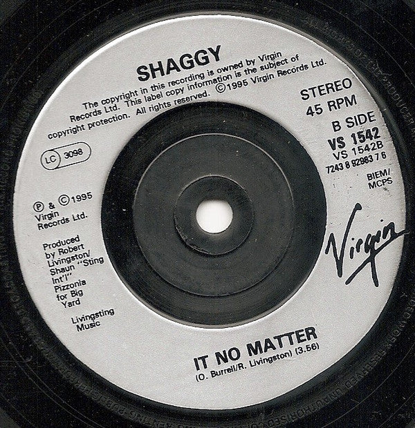 Shaggy Featuring Rayvon : In The Summertime (7", Single, Pos)