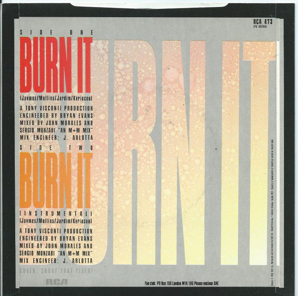 Modern Romance : Burn It (7")