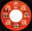 Gary Busey : True Love Ways (7", Mono, Promo, Styrene)