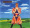 David Bowie : Earthling (CD, Album)