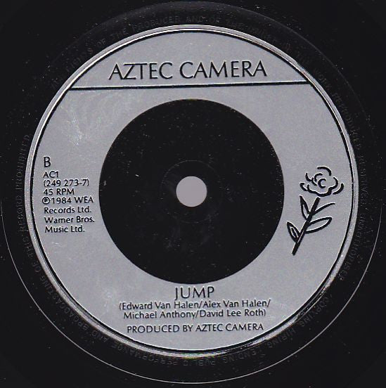 Aztec Camera : All I Need Is Everything (7", Single, Sil)