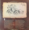 Michael Martin Murphey : Geronimo's Cadillac (LP, Album, Gat)