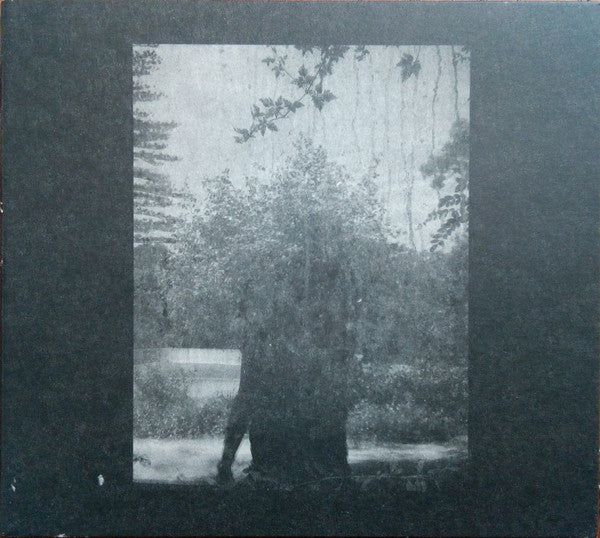 Grouper : Ruins (CD, Album)