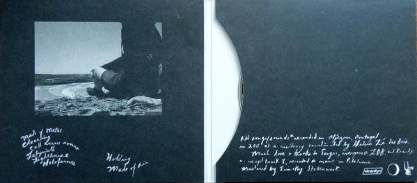 Grouper : Ruins (CD, Album)