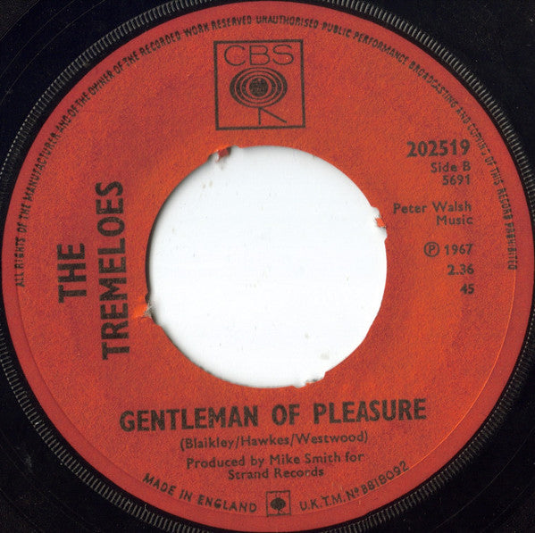 The Tremeloes : Here Comes My Baby (7", Single)