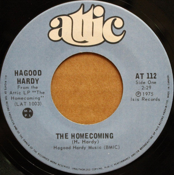 Hagood Hardy : The Homecoming (7", Single, Pal)
