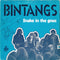 Bintangs : Snake In The Grass (7", Single)