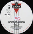 Hothouse Flowers : Give It Up (12")