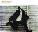 David Gray : Babylon (CD, Single, Dis)