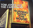 Tom Jones And The Cardigans : Burning Down The House (CD, Single, CD1)