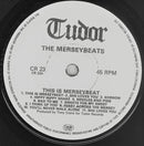The Merseybeats : This Is Merseybeat (7")