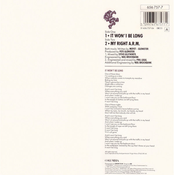 Alison Moyet : It Won't Be Long (7", Single)