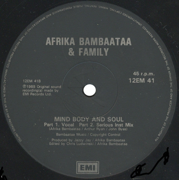 Afrika Bambaataa And Family* Featuring UB40 : Reckless (Vocal Wildstyle Mix) (12")