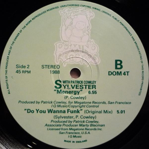 Sylvester With Patrick Cowley : Do You Wanna Funk (Housey Housey Mix) (12")