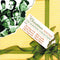 Various : The Christmas Selection - The Seasonal Collection (CD, Comp)