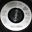 Perfect Day : This Is America (7", Single)