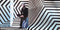 Paul Weller : Saturns Pattern (LP, Album, 180)