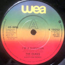 The Dukes (13) : I'm A Survivor (7", Single)