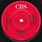The Psychedelic Furs : All That Money Wants (7", Single)