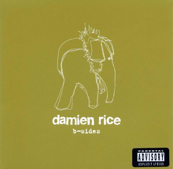 Damien Rice : B-Sides (CD, Comp)