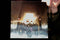 Ghost (32) : Meliora (CD, Album)