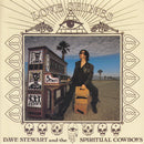 Dave Stewart And The Spiritual Cowboys : Love Shines (7", Single)