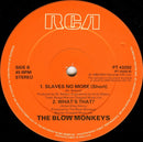 The Blow Monkeys Featuring Sylvia Tella : Slaves No More (12", Single)