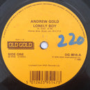Andrew Gold : Lonely Boy / Never Let Her Slip Away (7", Single)