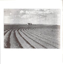 Camel : Dust And Dreams (CD, Album)