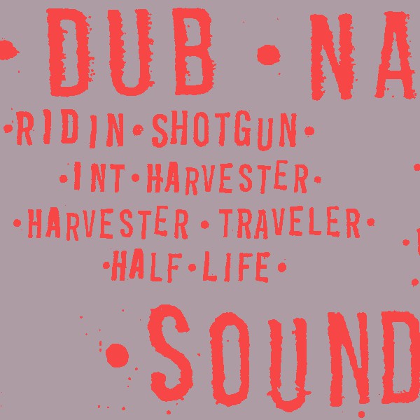 Dub Narcotic Sound System : Ridin Shotgun (CD, EP)