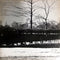 Steely Dan : Pretzel Logic (LP, Album, RE)