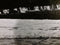 Steely Dan : Pretzel Logic (LP, Album, RE)