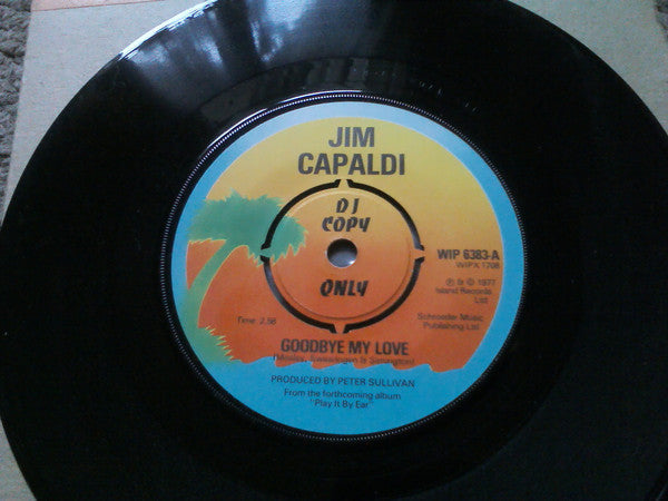 Jim Capaldi : Goodbye My Love  (7", Single, Promo)