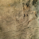 Bonnie Raitt : Nick Of Time (CD, Album, RE)