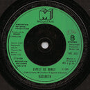 Nazareth (2) : May The Sunshine (7", Single, Com)