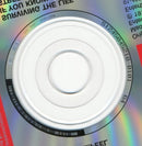 Neil Diamond : Beautiful Noise (CD, Album, RE)