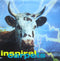 Inspiral Carpets : Commercial Rain (12", Single)