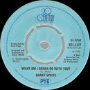 Barry White : What Am I Gonna Do With You? (7", Fou)