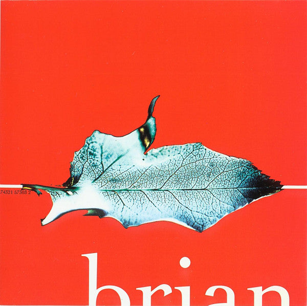 Brian Wilson : Imagination (CD, Album)