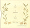 White Magic / The American Analog Set : Songs Of Hurt And Healing (CD, EP, Promo)