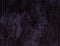 Anthrax : For All Kings (CD, Album)
