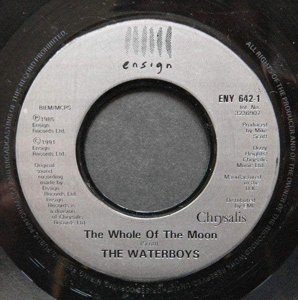 The Waterboys : The Whole Of The Moon (7", Single)