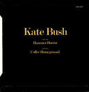 Kate Bush : Hammer Horror (7", Single)